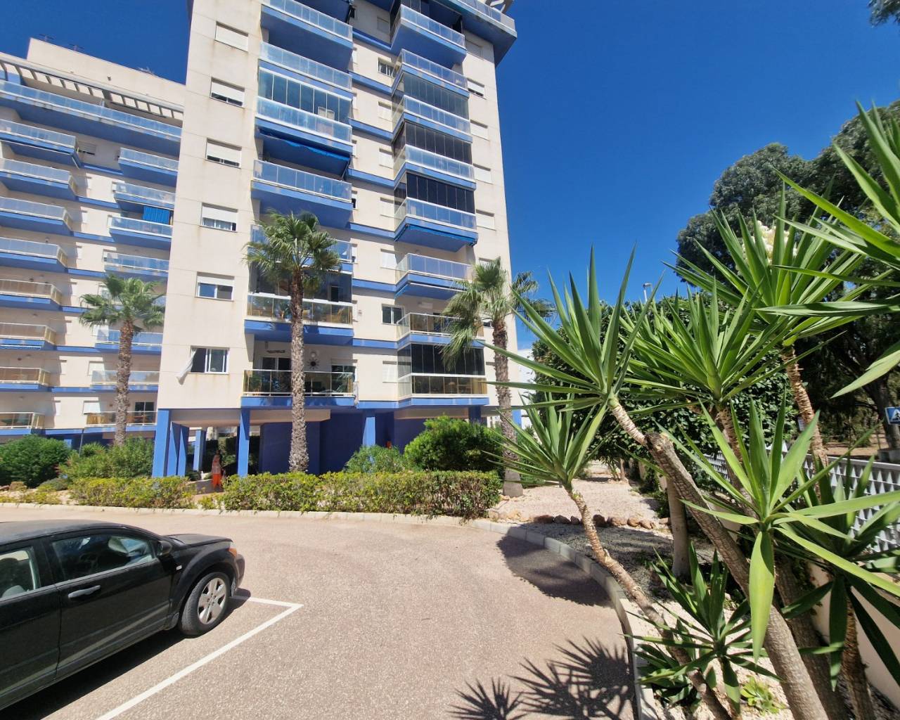 null en venta en Alicante